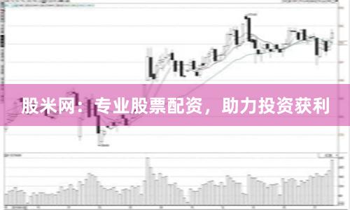 股米网：专业股票配资，助力投资获利