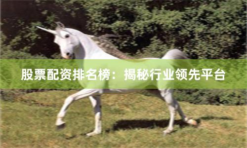股票配资排名榜：揭秘行业领先平台