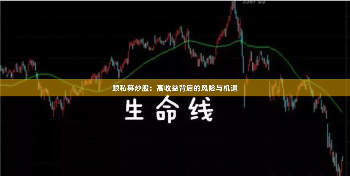 跟私募炒股：高收益背后的风险与机遇