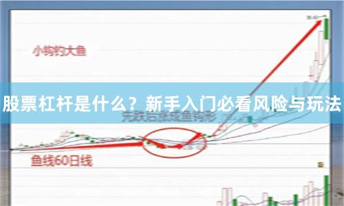 股票杠杆是什么？新手入门必看风险与玩法