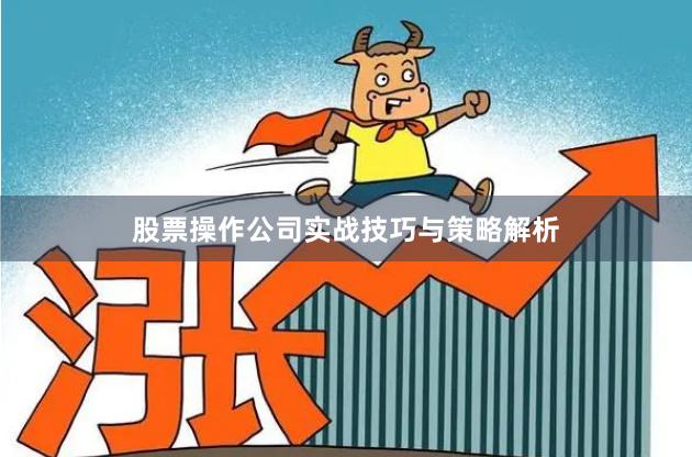 股票操作公司实战技巧与策略解析